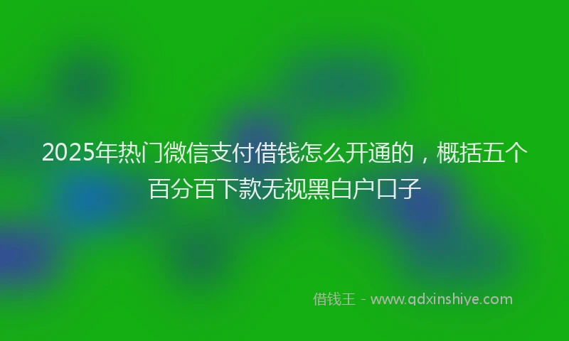 2025年热门微信支付借钱怎么开通的，概括五个百分百下款无视黑白户口子