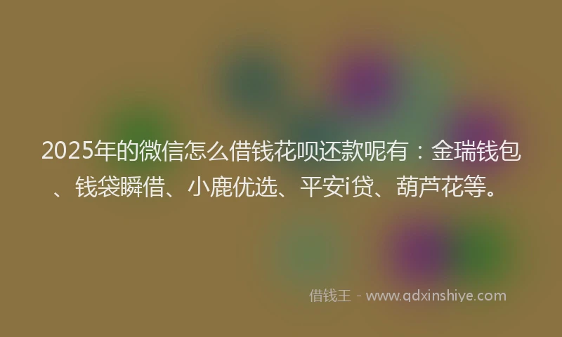 2025年的微信怎么借钱花呗还款呢有：金瑞钱包、钱袋瞬借、小鹿优选、平安i贷、葫芦花等。