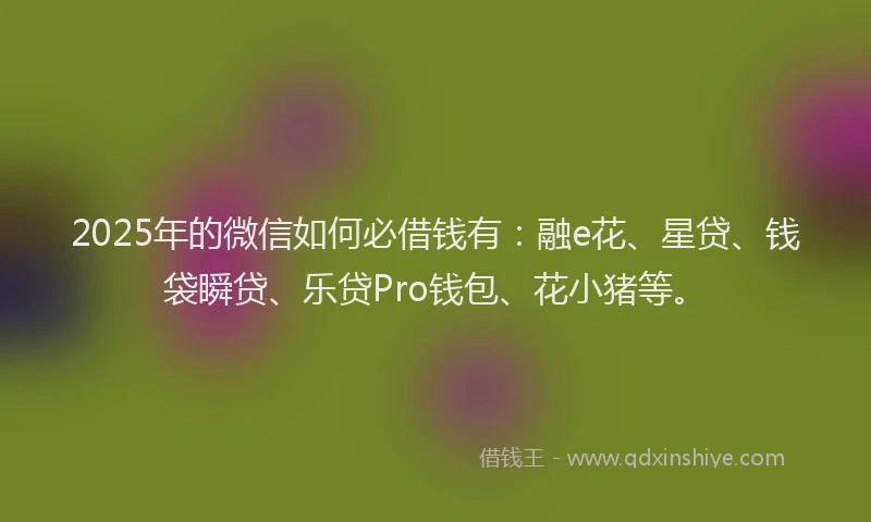 2025年的微信如何必借钱有：融e花、星贷、钱袋瞬贷、乐贷Pro钱包、花小猪等。