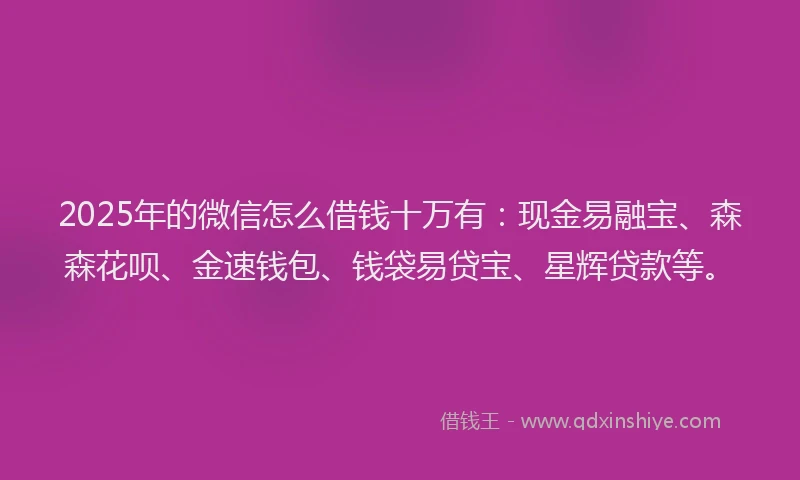 2025年的微信怎么借钱十万有：现金易融宝、森森花呗、金速钱包、钱袋易贷宝、星辉贷款等。