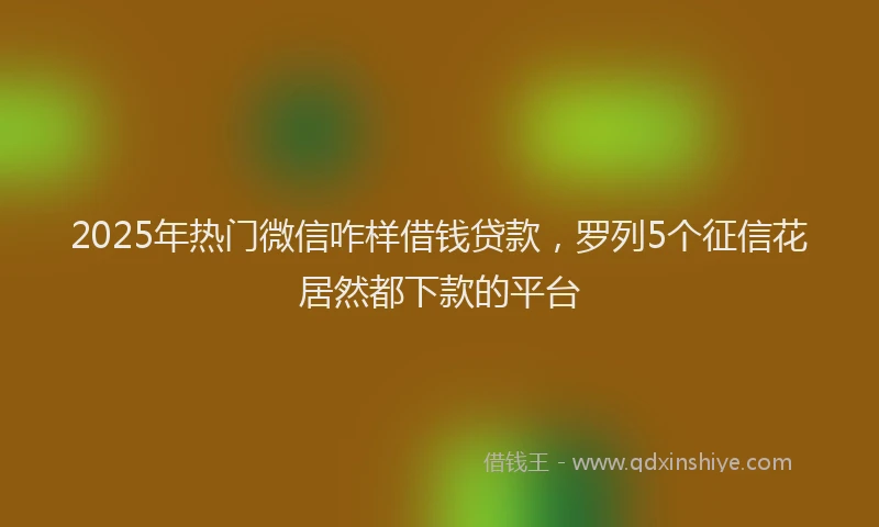2025年热门微信咋样借钱贷款，罗列5个征信花居然都下款的平台