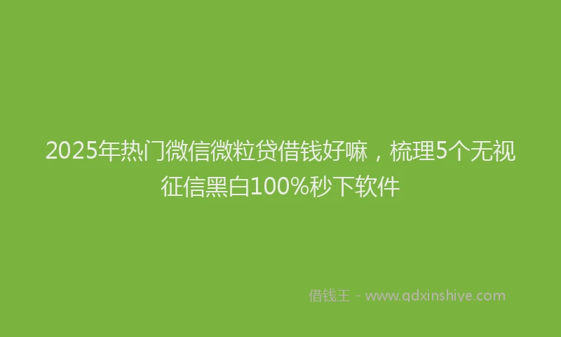 2025年热门微信微粒贷借钱好嘛，梳理5个无视征信黑白100%秒下软件