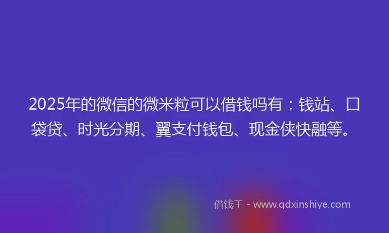 2025年的微信的微米粒可以借钱吗有：钱站、口袋贷、时光分期、翼支付钱包、现金侠快融等。
