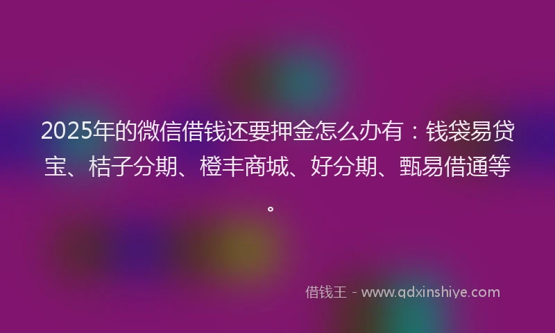 2025年的微信借钱还要押金怎么办有：钱袋易贷宝、桔子分期、橙丰商城、好分期、甄易借通等。