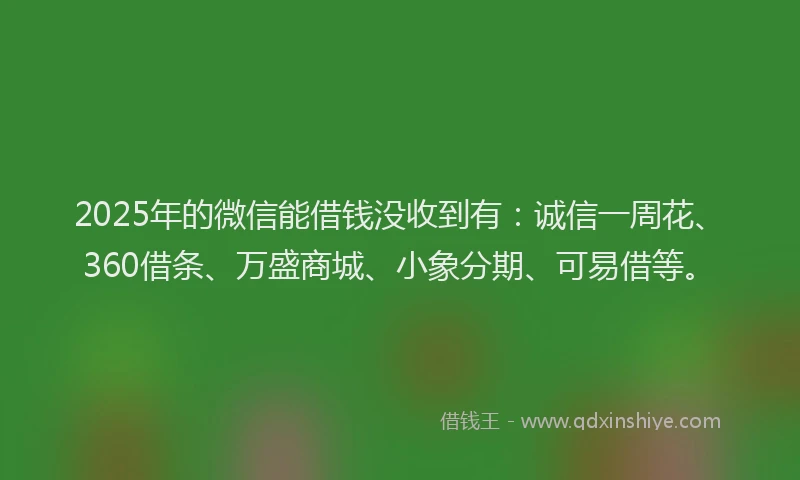 2025年的微信能借钱没收到有：诚信一周花、360借条、万盛商城、小象分期、可易借等。