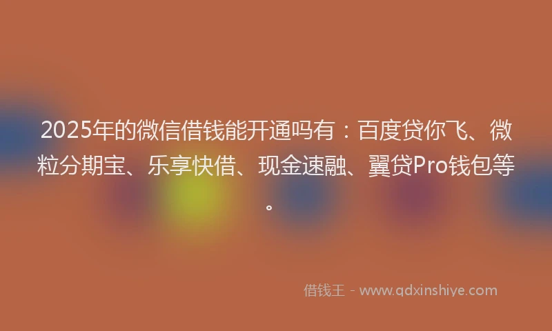 2025年的微信借钱能开通吗有：百度贷你飞、微粒分期宝、乐享快借、现金速融、翼贷Pro钱包等。