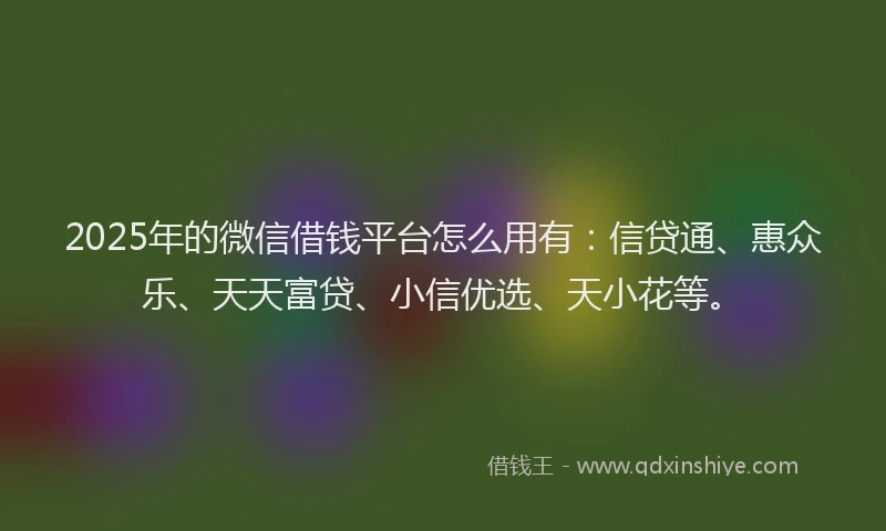 2025年的微信借钱平台怎么用有：信贷通、惠众乐、天天富贷、小信优选、天小花等。