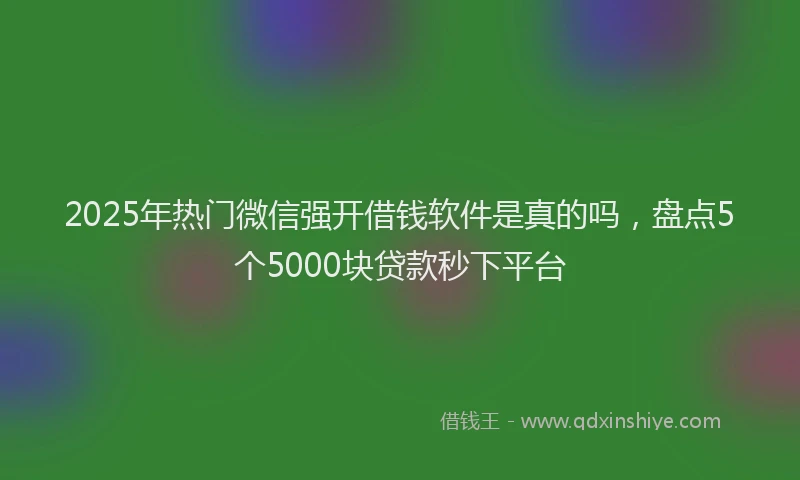 2025年热门微信强开借钱软件是真的吗，盘点5个5000块贷款秒下平台
