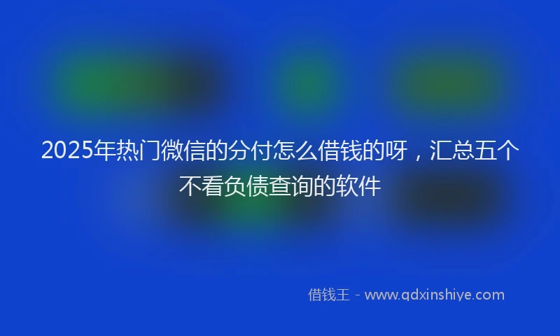 2025年热门微信的分付怎么借钱的呀，汇总五个不看负债查询的软件