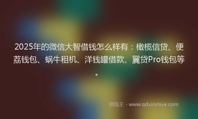 2025年的微信大智借钱怎么样有：橄榄信贷、便荔钱包、蜗牛租机、洋钱罐借款、翼贷Pro钱包等。