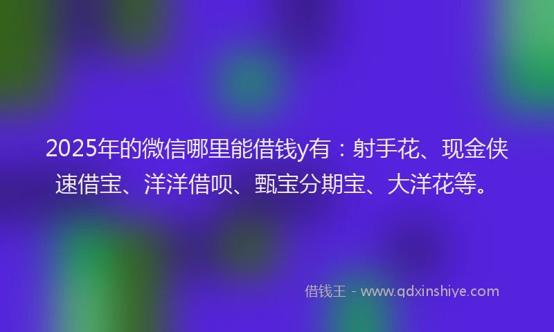 2025年的微信哪里能借钱y有：射手花、现金侠速借宝、洋洋借呗、甄宝分期宝、大洋花等。