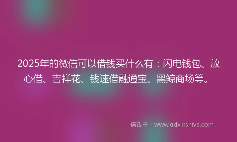 2025年的微信可以借钱买什么有：闪电钱包、放心借、吉祥花、钱速借融通宝、黑鲸商场等。