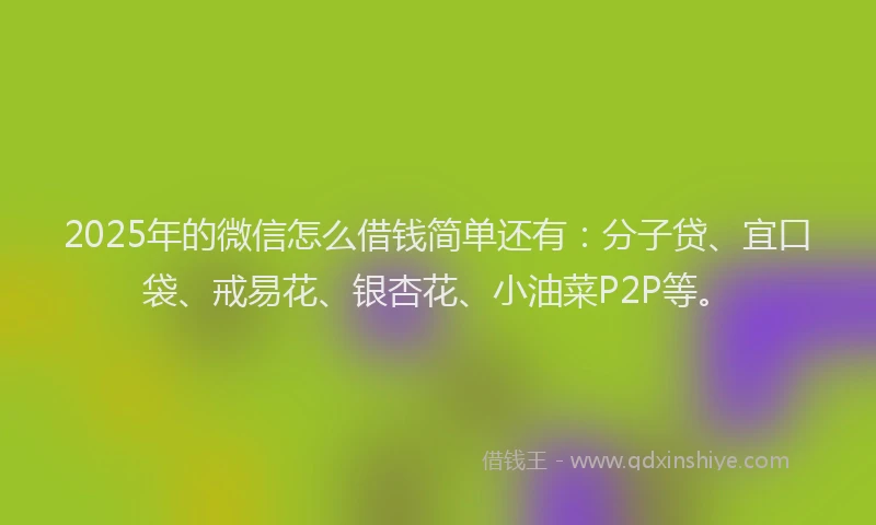 2025年的微信怎么借钱简单还有：分子贷、宜口袋、戒易花、银杏花、小油菜P2P等。