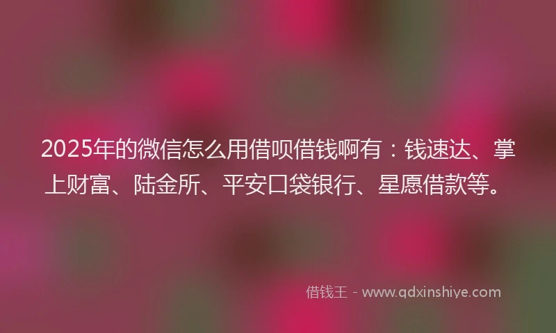 2025年的微信怎么用借呗借钱啊有：钱速达、掌上财富、陆金所、平安口袋银行、星愿借款等。