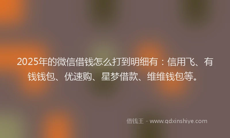 2025年的微信借钱怎么打到明细有：信用飞、有钱钱包、优速购、星梦借款、维维钱包等。