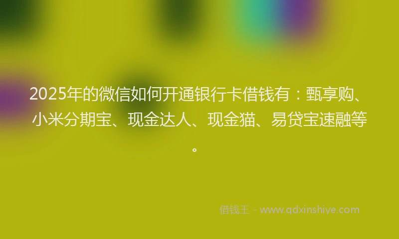 2025年的微信如何开通银行卡借钱有：甄享购、小米分期宝、现金达人、现金猫、易贷宝速融等。