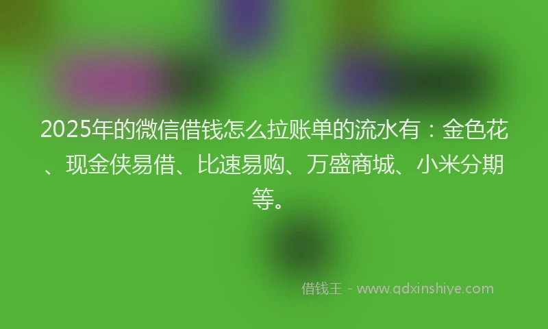 2025年的微信借钱怎么拉账单的流水有：金色花、现金侠易借、比速易购、万盛商城、小米分期等。