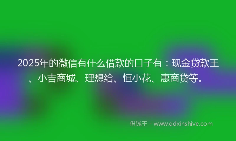 2025年的微信有什么借款的口子有：现金贷款王、小吉商城、理想给、恒小花、惠商贷等。