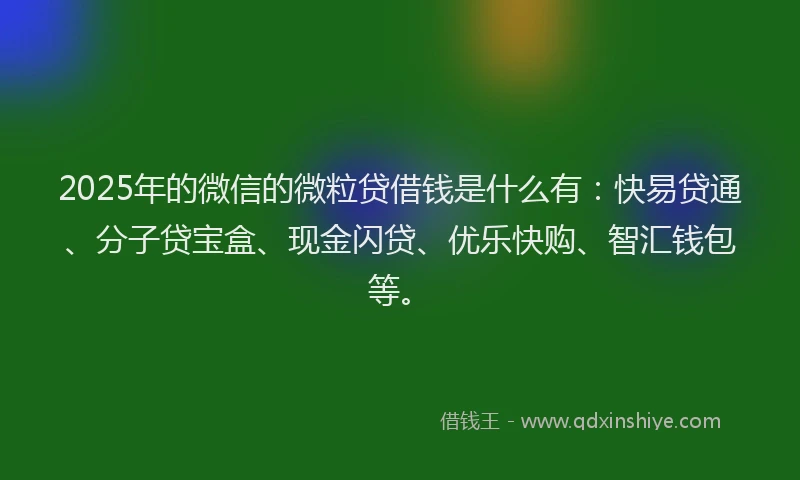 2025年的微信的微粒贷借钱是什么有：快易贷通、分子贷宝盒、现金闪贷、优乐快购、智汇钱包等。