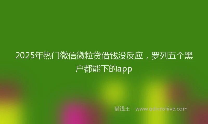 2025年热门微信微粒贷借钱没反应，罗列五个黑户都能下的app