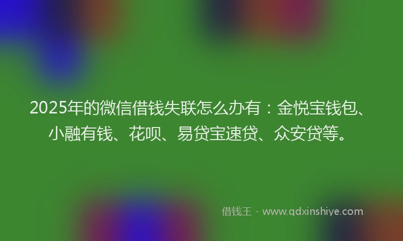 2025年的微信借钱失联怎么办有：金悦宝钱包、小融有钱、花呗、易贷宝速贷、众安贷等。