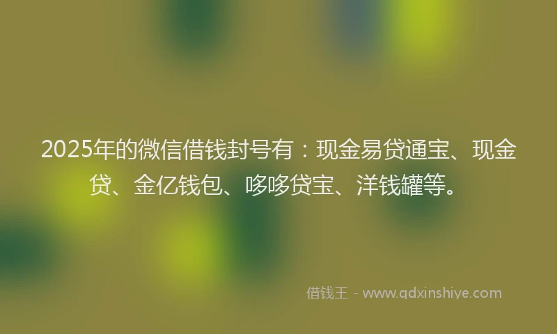 2025年的微信借钱封号有：现金易贷通宝、现金贷、金亿钱包、哆哆贷宝、洋钱罐等。