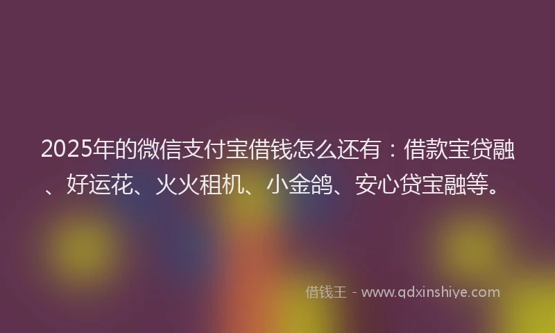 2025年的微信支付宝借钱怎么还有：借款宝贷融、好运花、火火租机、小金鸽、安心贷宝融等。