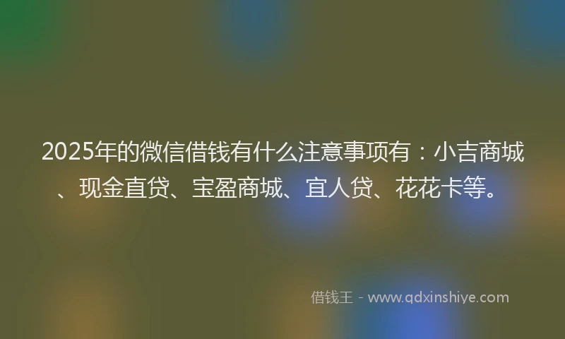 2025年的微信借钱有什么注意事项有：小吉商城、现金直贷、宝盈商城、宜人贷、花花卡等。