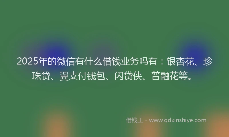 2025年的微信有什么借钱业务吗有：银杏花、珍珠贷、翼支付钱包、闪贷侠、普融花等。