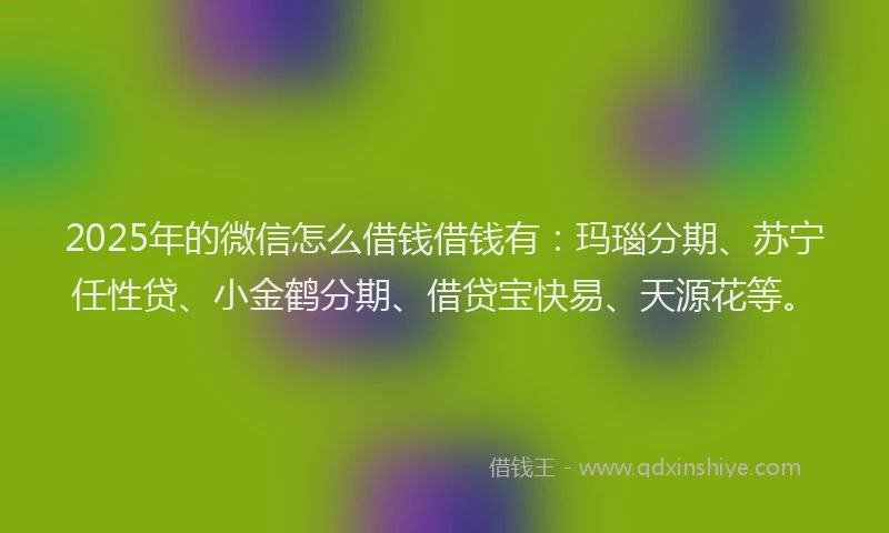 2025年的微信怎么借钱借钱有：玛瑙分期、苏宁任性贷、小金鹤分期、借贷宝快易、天源花等。