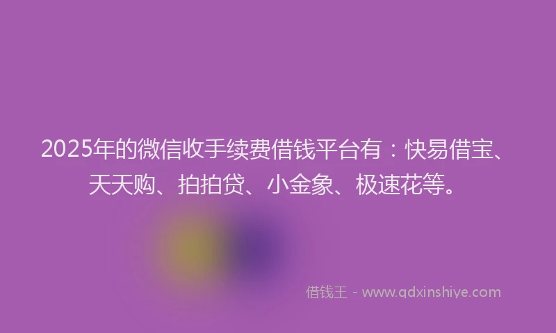 2025年的微信收手续费借钱平台有：快易借宝、天天购、拍拍贷、小金象、极速花等。