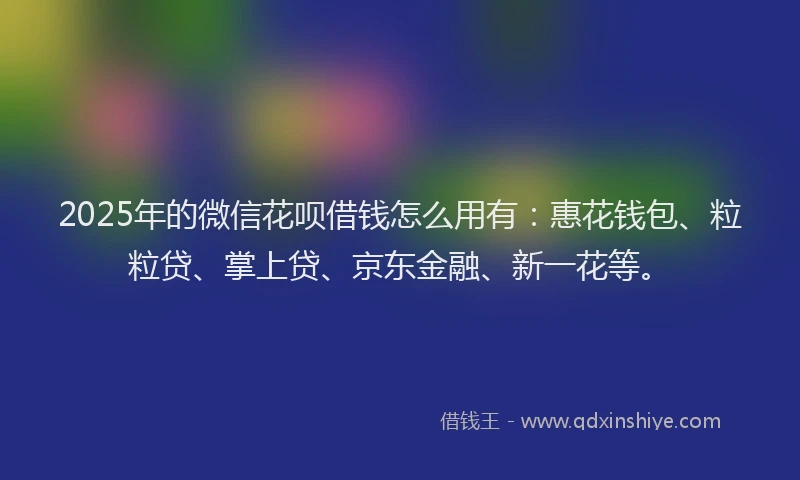 2025年的微信花呗借钱怎么用有：惠花钱包、粒粒贷、掌上贷、京东金融、新一花等。