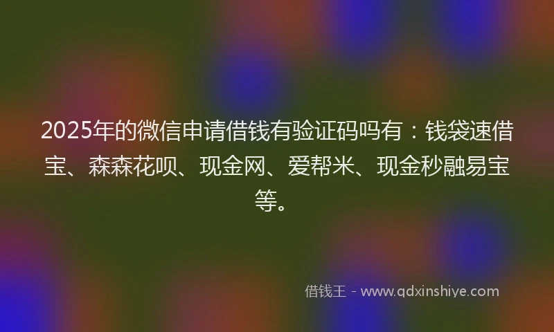 2025年的微信申请借钱有验证码吗有：钱袋速借宝、森森花呗、现金网、爱帮米、现金秒融易宝等。