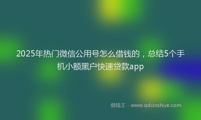 2025年热门微信公用号怎么借钱的，总结5个手机小额黑户快速贷款app