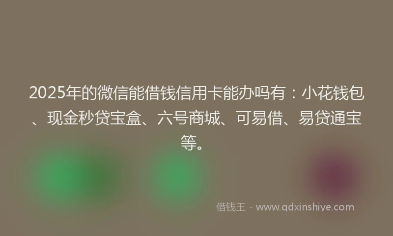 2025年的微信能借钱信用卡能办吗有：小花钱包、现金秒贷宝盒、六号商城、可易借、易贷通宝等。