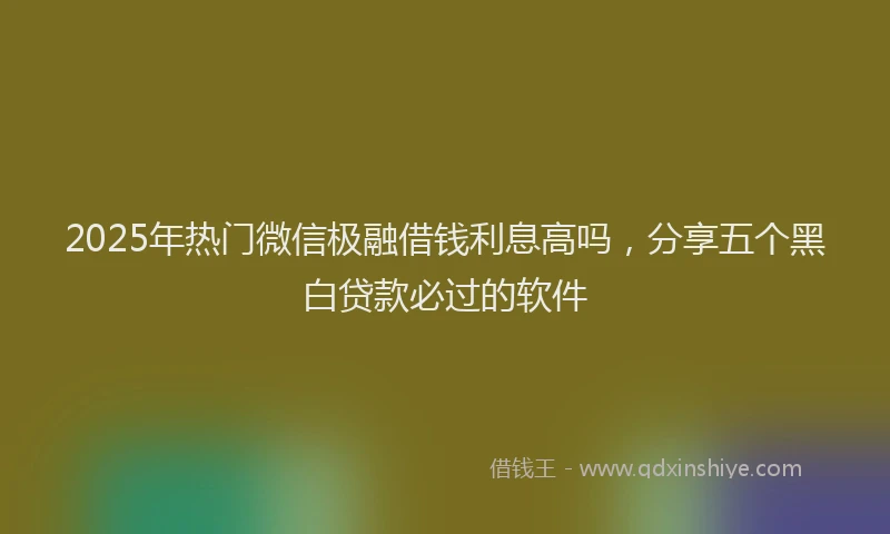 2025年热门微信极融借钱利息高吗，分享五个黑白贷款必过的软件