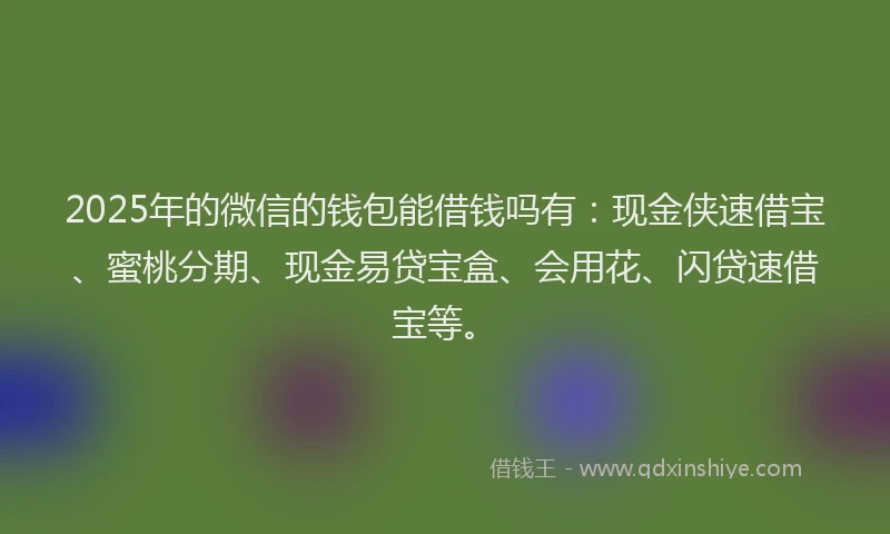 2025年的微信的钱包能借钱吗有：现金侠速借宝、蜜桃分期、现金易贷宝盒、会用花、闪贷速借宝等。
