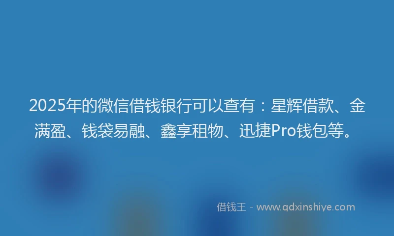 2025年的微信借钱银行可以查有：星辉借款、金满盈、钱袋易融、鑫享租物、迅捷Pro钱包等。