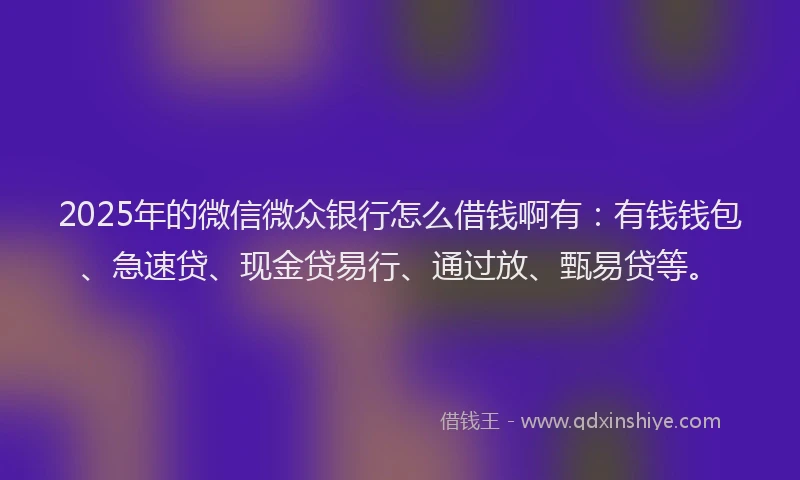 2025年的微信微众银行怎么借钱啊有：有钱钱包、急速贷、现金贷易行、通过放、甄易贷等。