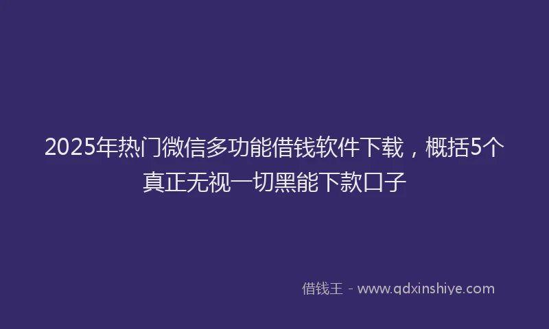 2025年热门微信多功能借钱软件下载，概括5个真正无视一切黑能下款口子