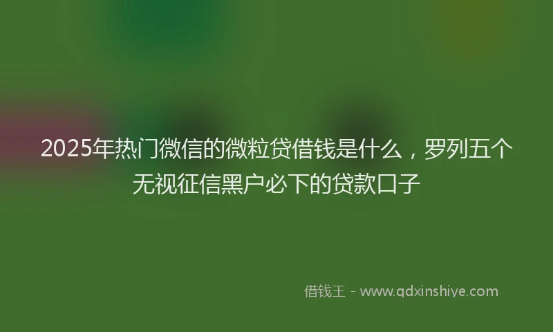 2025年热门微信的微粒贷借钱是什么，罗列五个无视征信黑户必下的贷款口子