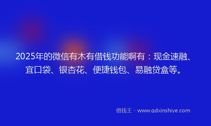 2025年的微信有木有借钱功能啊有：现金速融、宜口袋、银杏花、便捷钱包、易融贷盒等。