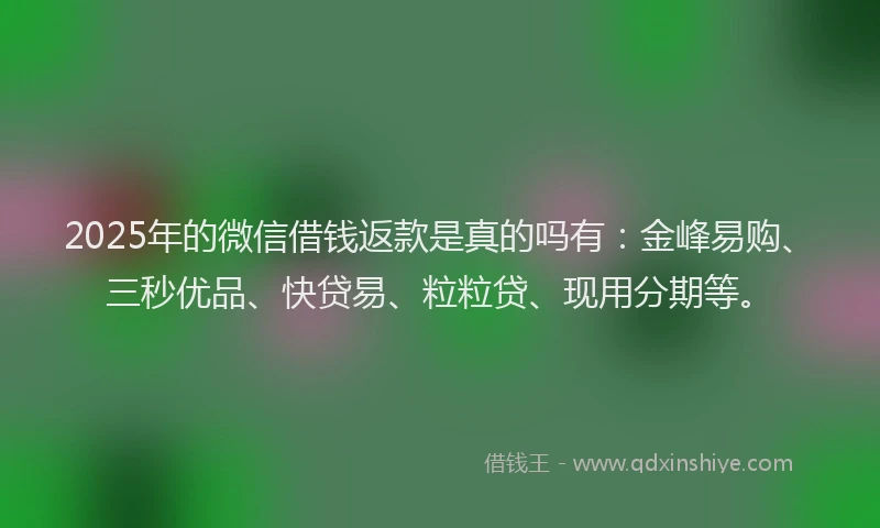 2025年的微信借钱返款是真的吗有：金峰易购、三秒优品、快贷易、粒粒贷、现用分期等。