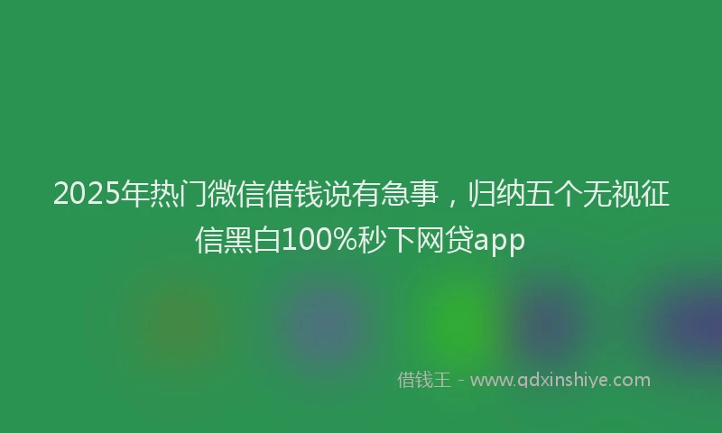2025年热门微信借钱说有急事，归纳五个无视征信黑白100%秒下网贷app