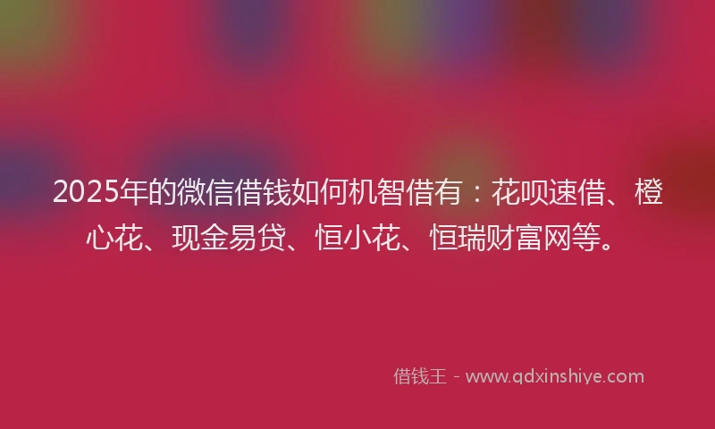 2025年的微信借钱如何机智借有：花呗速借、橙心花、现金易贷、恒小花、恒瑞财富网等。