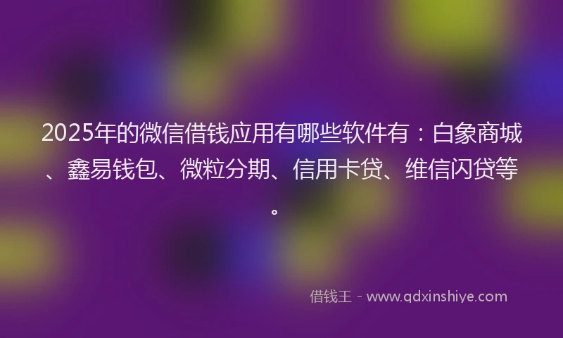 2025年的微信借钱应用有哪些软件有：白象商城、鑫易钱包、微粒分期、信用卡贷、维信闪贷等。