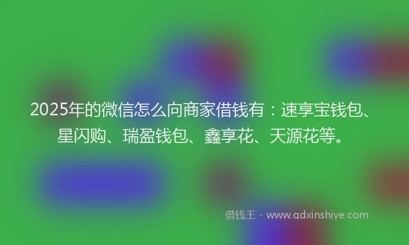 2025年的微信怎么向商家借钱有：速享宝钱包、星闪购、瑞盈钱包、鑫享花、天源花等。