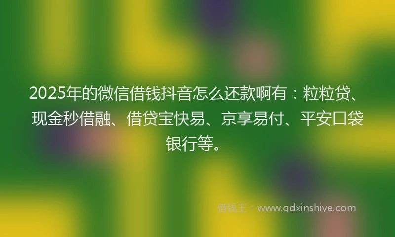 2025年的微信借钱抖音怎么还款啊有：粒粒贷、现金秒借融、借贷宝快易、京享易付、平安口袋银行等。