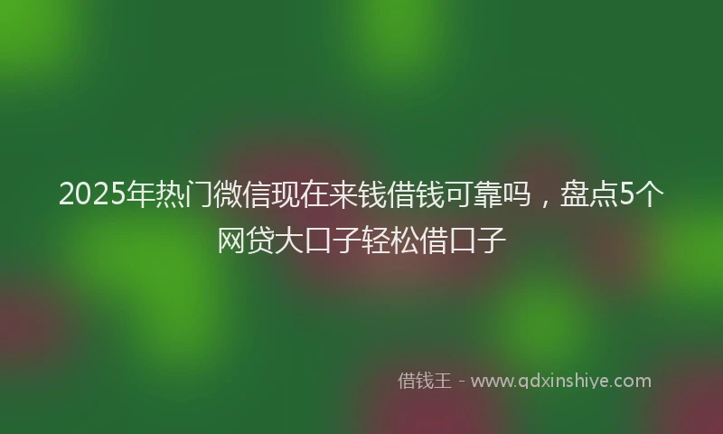 2025年热门微信现在来钱借钱可靠吗，盘点5个网贷大口子轻松借口子