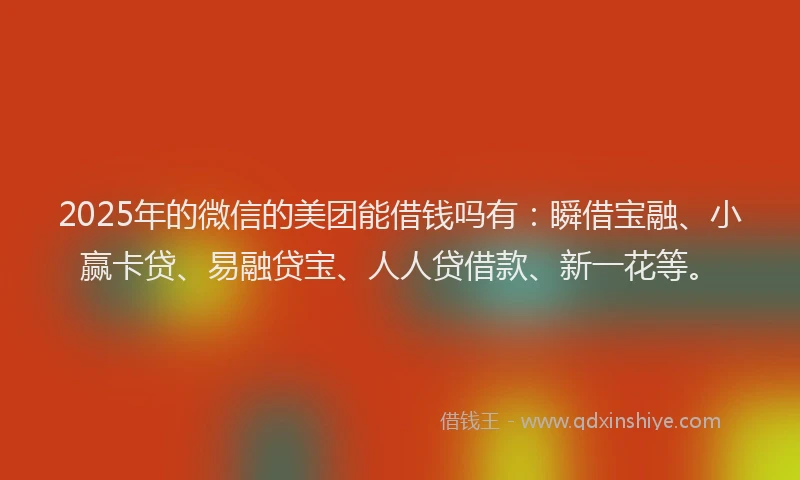 2025年的微信的美团能借钱吗有：瞬借宝融、小赢卡贷、易融贷宝、人人贷借款、新一花等。